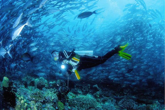 春运大幕正式开启 重庆西站全力保障旅客安心出行
