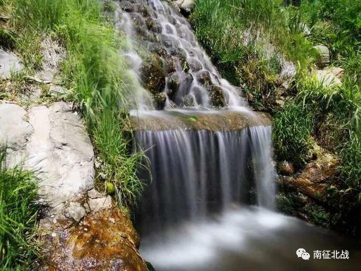 虫虫助手下载