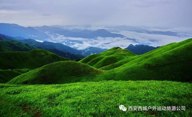 粘合剂包装机_100KG回转式定量包装机